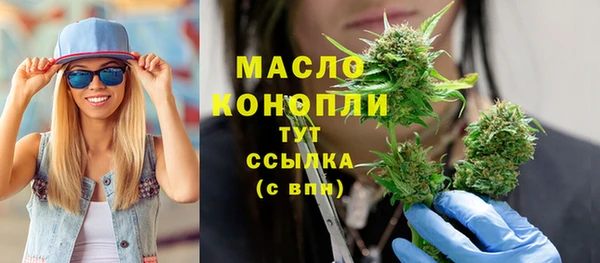 сатива Осинники