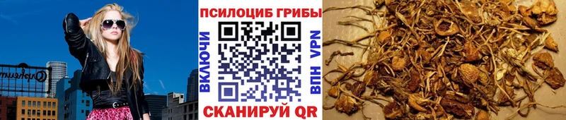 Галлюциногенные грибы ЛСД  гидра вход  Красный Холм 