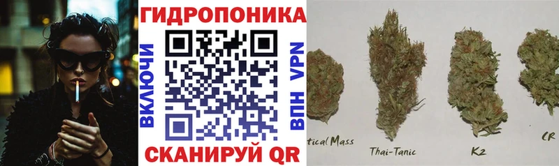 купить  сайты  Красный Холм  гидра маркетплейс  Каннабис THC 21% 
